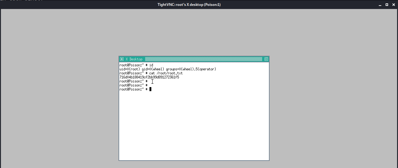 /images/htb-poison/poison-tight-vnc-window.png